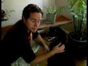Köpek Eğitim İpuçları: Senin Köpek İle İletişim