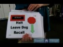 Rally-O Bir Gösteri İçin Köpek Eğitmek İçin Nasıl : Ralli İtaat Gösterileri İstasyonları Yaklaşım Nasıl 