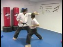 Beş Hayvan Shaolin Dövüş Sanatları : Shaolin Dövüş Sanatları Teknikleri Leopar  Resim 3