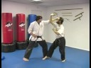 Beş Hayvan Shaolin Dövüş Sanatları : Shaolin Dövüş Sanatları Teknikleri Tiger  Resim 3