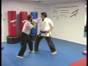 Beş Hayvan Shaolin Dövüş Sanatları : Shaolin Dövüş Sanatları Yılan Teknikleri  Resim 3
