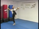 Beş Hayvan Shaolin Dövüş Sanatları : Vinç Shaolin Dövüş Sanatları Dövüş Stili  Resim 3