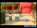 Ev Bitkileri Su Nasıl Yapılır : Ev Bitkileri İçin Gübre Nasıl Kullanılır  Resim 3