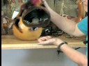 Kabak Sanatı Nasıl Yapılır : Kabak Halloween Süslemeleri Yapmak Nasıl  Resim 3