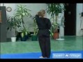 Temel Kung Fu Hareketleri : Kung Fu Duan Chuan Rutin: Bölüm 2 Resim 3
