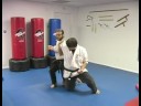 Beş Hayvan Shaolin Dövüş Sanatları : Ejderha Shaolin Dövüş Sanatları Teknikleri  Resim 4