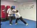 Beş Hayvan Shaolin Dövüş Sanatları : Shaolin Dövüş Sanatları Teknikleri Tiger  Resim 4
