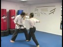Beş Hayvan Shaolin Dövüş Sanatları : Shaolin Dövüş Sanatları Teknikleri Vinç  Resim 4