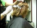 Boyama Gri Saçlar İçin İpuçları : Kafasına Saç: Gri Saç Boyama  Resim 4