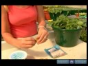 Ev Bitkileri Su Nasıl Yapılır : Ev Bitkileri İçin Gübre Nasıl Kullanılır  Resim 4