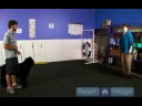İnsanlar Üzerinde Atlamak İçin Değil Köpek Eğitmek İçin nasıl:'Atlama Önlemek İçin Tasma s\Bir Köpek Nasıl kullanılır  Resim 4