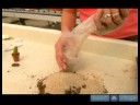 Kaktüs Ve Etli Bitki Yetiştirmeyi: Kaktüs Ve Etli Bitki Çömlekçilik Karışımını İpuçları Resim 4