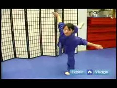 Gelişmiş Wushu Teknikleri : Wushu Kelebek Tekme Resim 1