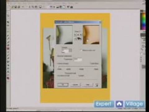 Re-Touch Boya İle Fotoğraflar Pro Shop Nasıl : Paint Shop Pro Renk Dengeleme & Filtreler Nasıl Kullanılır  Resim 1