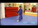Gelişmiş Wushu Teknikleri : Wushu Hava Parande Resim 3