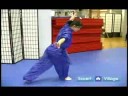 Gelişmiş Wushu Teknikleri : Wushu Kelebek Tekme Resim 3