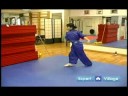 Gelişmiş Wushu Teknikleri : Wushu Kelebek Tekme Resim 4