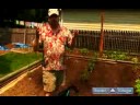 Nasıl Bahçe Sebze Bitki: Sebze Bahçe Sulama İçin İpuçları Resim 4