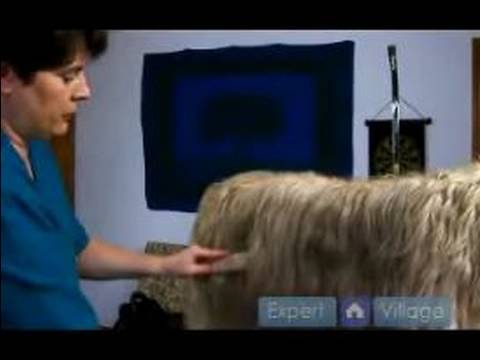 Uzun Saçlı Köpek Yönergeleri: Köpek Fırçalama Bakım İpuçları