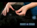 Uzun Saçlı Köpek Bakım Talimatları: İlk Adımlar Dışında Köpeğin Kat Mats Alma