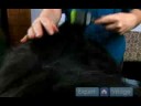 Uzun Saçlı Köpek Bakım Talimatları: İlk Adımlar Dışında Köpeğin Kat Mats Alma Resim 3