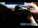 Uzun Saçlı Köpek Yönergeleri: Pad Köpek İpuçları Bakım Ayak Resim 4