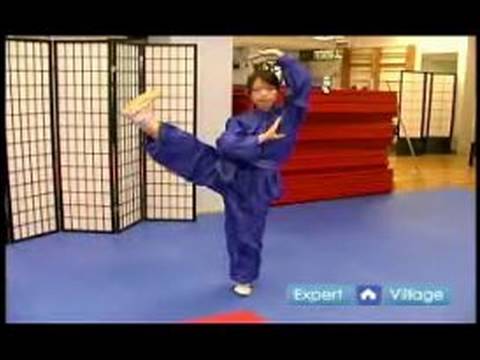 Acemi Wushu Teknikleri : Nasıl Wushu Yan Tekme