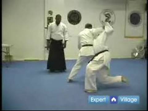 Başlangıç Aikido Teknikleri : Dori-Tanchi Nage Japon Aikido Teknikleri Ryote 