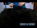 Uzun Saçlı Köpek Tımar Araçları : Uzun Saçlı Köpek Bakım Ekipmanları