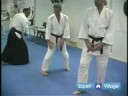 Başlangıç Aikido Teknikleri : Tenkan Japon Aikido Teknikleri Resim 3