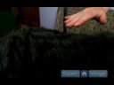 Uzun Saçlı Köpek Tımar Araçları : Ceket Striptizci Köpek Tımar Aracı Resim 3