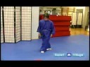 Wushu Cher Tsuai Yan Tekme Nasıl Wushu Tekniklerini Acemi :  Resim 3