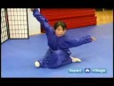 Acemi Wushu Teknikleri : Wushu Beş Duruşları  Resim 4
