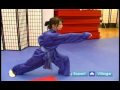 Acemi Wushu Teknikleri : Wushu Yay Duruşu Yumruk Ve Tekme Teknikleri Dön  Resim 4