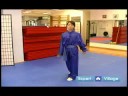 Acemi Wushu Teknikleri : Wushu Yumruk Ve Tekme Teknikleri Öğrenmek  Resim 4