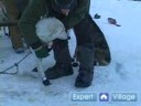 Iditarod İçinde Kızak Köpekleri Yarışı Nasıl : Yarış Kızağı Bir Köpek Üzerinde Bir Yaka Koyun Nasıl  Resim 4