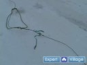 Iditarod Kızak Köpeği Yarış İçinde Nasıl Bir Kızak İçin Boyun Bir Hat Takın Nasıl  Resim 4