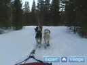 Nasıl İçinde Iditarod Kızak Köpeği Yarışı : Yarış Kızak İçin Bir Binek Ekleme  Resim 4