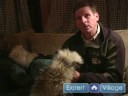 Nasıl Iditarod Yarış Kızak Köpekleri : Bir Parka & Ruff Kızak Köpekleri Yarışı Ne Zaman İhtiyaç Vardır  Resim 4