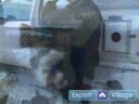 Nasıl Iditarod Yarış Kızak Köpekleri : Yarış Hakkında Bilgi Köpek Kızak  Resim 4