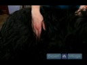Uzun Saçlı Köpek Tımar Araçları : Uzun Saçlı Köpek Bakım Ekipmanları Resim 4