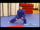 Wushu Wu Long Da Pan Tekniği Nasıl Wushu Tekniklerini Acemi :  Resim 4