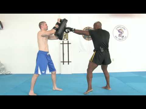 Dövüş Sanatları Savaşçı Eğitim : Dövüş Sanatları Savaşçı Eğitim: Delme Kombinasyonları