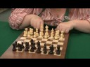 Satranç Nasıl Oynanır Oyunları Ve Kart Oyunları Yönetim Kurulu : 