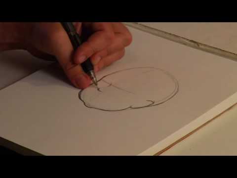 Çizim Dersleri : Bir Çocuk Çizmek İçin Nasıl\'nın Yüzü