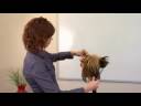 Saç Şekillendirme İpuçları: Evde Saç Kesimi Rehber Resim 4