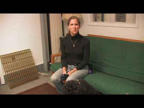 Kapalı İşaretleme Gelen Köpek Durdurmak İçin Nasıl Bir Eğitim Köpek :  Resim 1