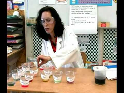 Kimya Ders: Asitler Ve Bazlar Ph Testleri : Asitler Ve Bazlar Kimya Ph Testi: Sonuçlar Resim 1
