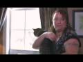 Kedi Bakımı: Kedi Kedi Kapıları Girmek İçin Tren Nasıl