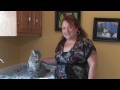 Kedi Bakımı: Kedi Kulak Balmumu Kaldırma